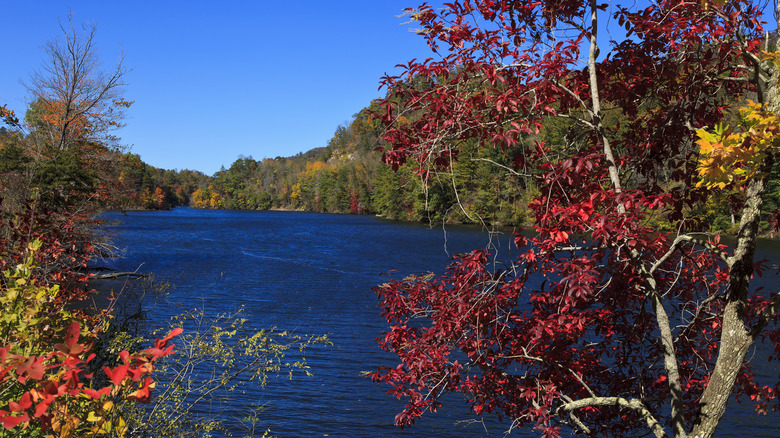 Wolf Creek Lake in Tuckasegee, North Carolina in the Fall