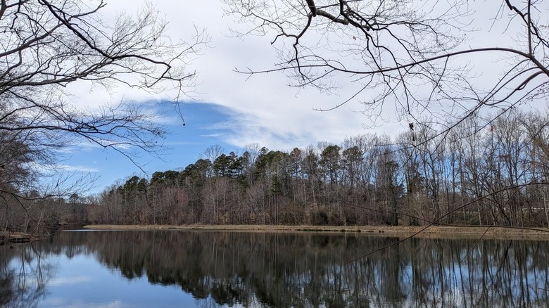 Lake Corriher in Landis North Carolina during the fall; the trees are bare, but the water reflects the blue cloudy sky.