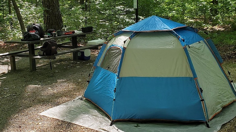 A small tent set up beside gear piled on a picnic table at Pocket Campground in John's Mountain Wildlife Management Area.