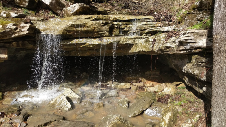 Outside a cave opening to Howard's Waterfall Cave in Georgia