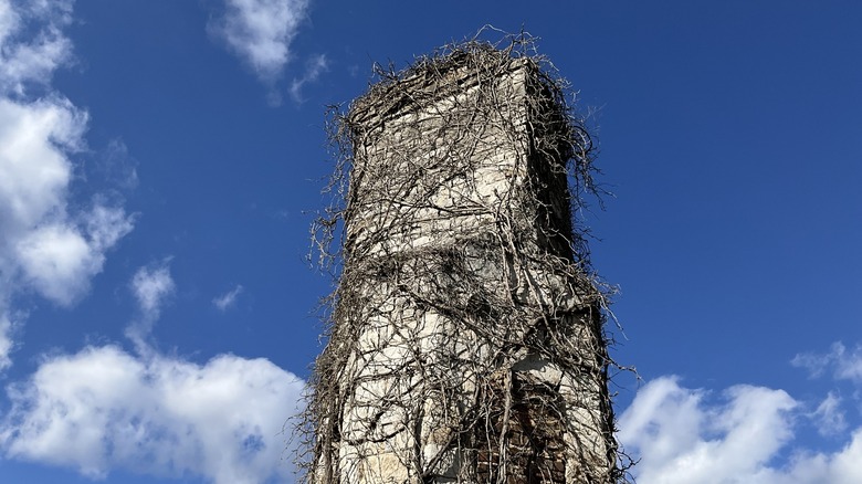The chimney remains of a former inn in the abandoned town of Bellefonte, Alabama