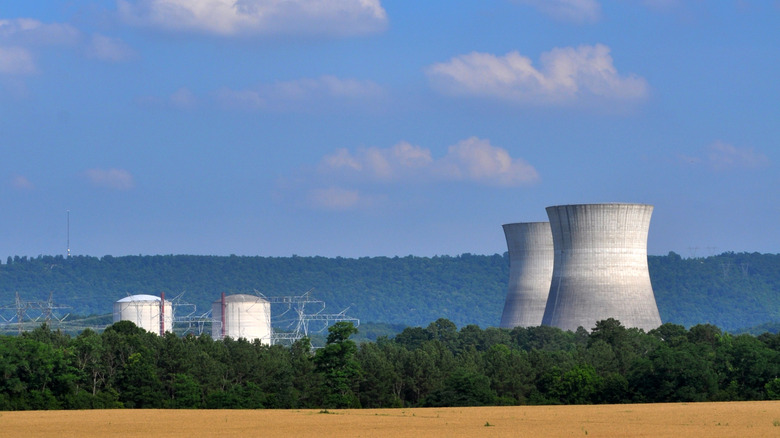 The twin cooling towers of the Bellefonte Nuclear Plant against trees and sky
