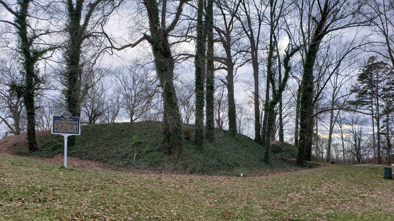 Trees and foliage surrounding the remains of Fort Harker in Stevenson, Alabama