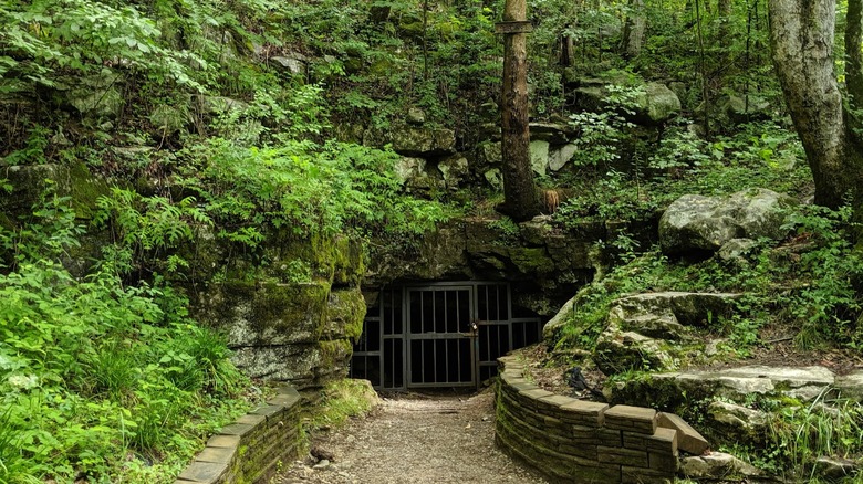 Locked gate surrounded by green foliage at entrance of Tumbling Rock Cave