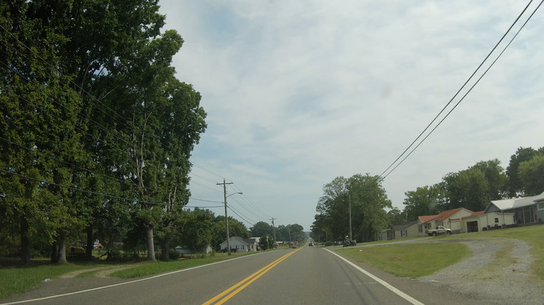 Verdant street scene in Decatur