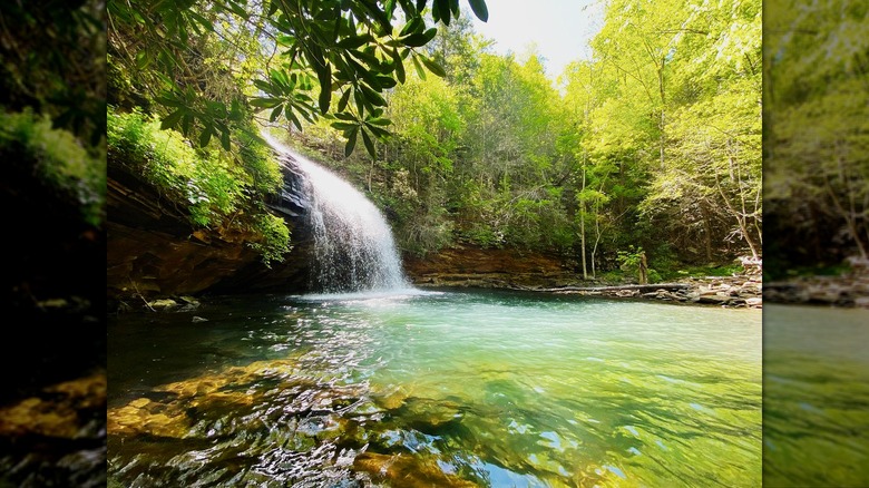 Stinging Fork Falls in Spring City, Tennessee