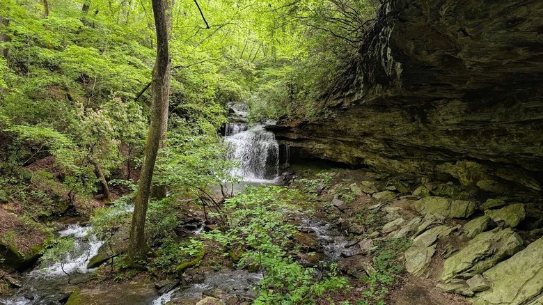 A flowing waterfall surrounded by a large rock shelter and lush woodlands inside Franklin State Forest in Tennessee