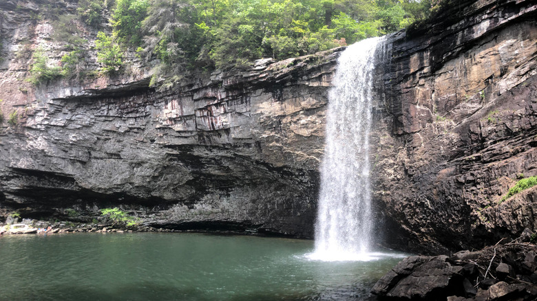 A cascading Foster Falls pouring into a blue-green pool over rocky cliffs topped with green trees.