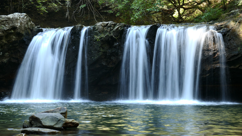 Waterfall cascading in sunlit forest Fiery Gizzard State Park