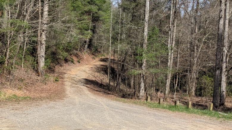 A gravel road leading to a parking area at Coker Creek Trailhead