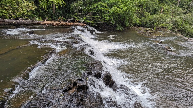A small waterfall cascading into a pool of water at Coker Creek