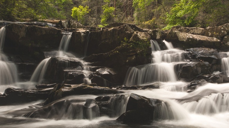 A water fall cascading over rocks at Coker Creek Falls, Tennessee