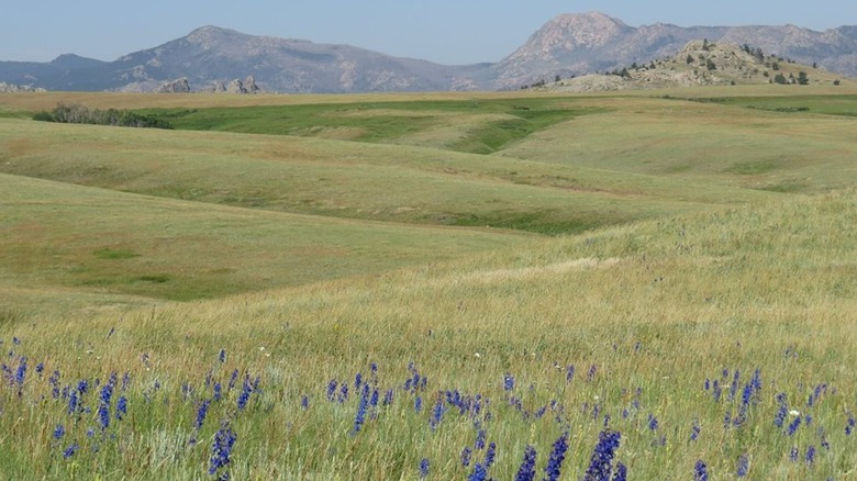Rolling hills on the LaBonte Canyon Trail in Medicine Bow-Routt National Forest