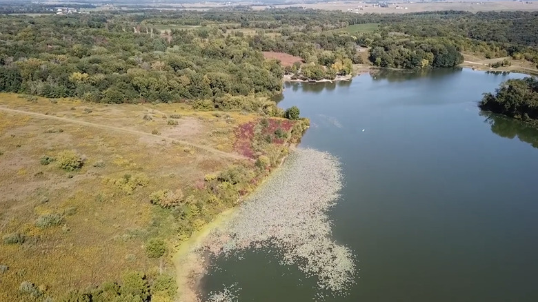 Lake bordered by field and trees along the shoreline at Morrison-Rockwood State Park