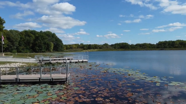 Two docks on Lake Carlton with lily pads at Morrison-Rockwood State Park