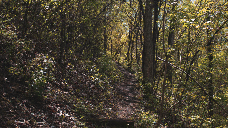 Hiking trail in Lowden State Park, Illinois