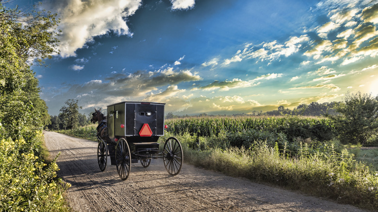 An Amish buggy in rural northern Indiana.