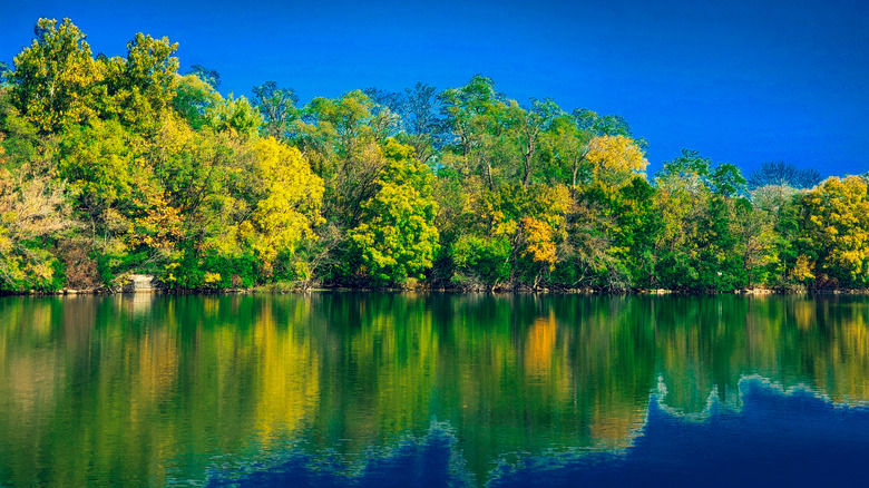 A tree-lined lake at Riverbend Forest Preserve in Mahomet, Illinois