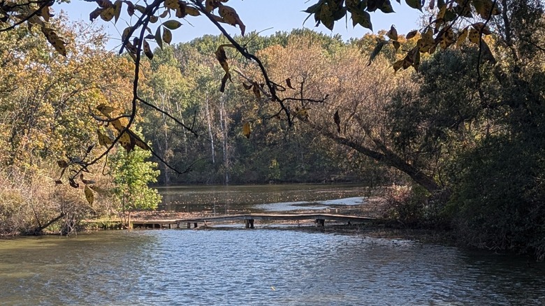 Whitewater Lake, Wisconsin, with a wooden footbridge and lush vegetation surrounding it