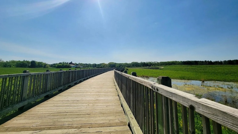 A boardwalk spanning over the wetlands at Pine Dunes Forest Preserve in Illinois, with lush greenery in the distance