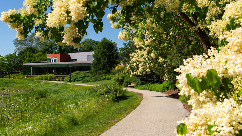 Path along Meadow Lake at The Morton Arboretum in Lisle, Illinois