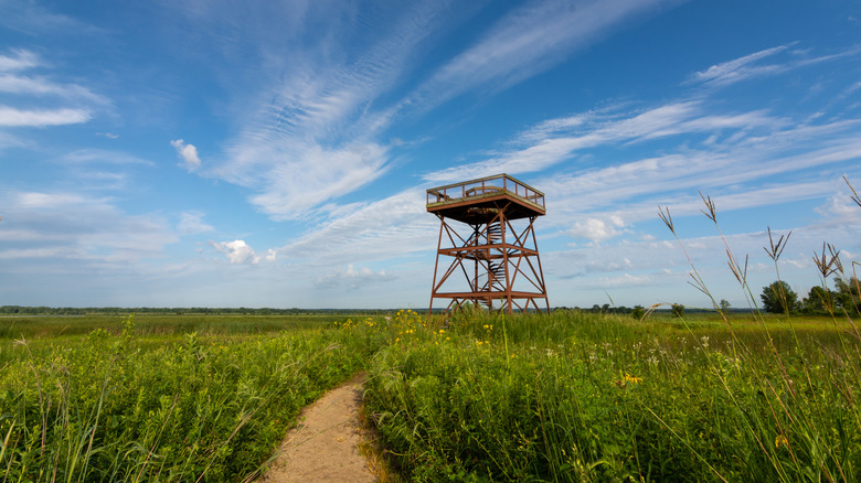 Observation deck surrounded by a grassy landscape at the Sue and Wes Dixon Waterfowl Refuge, Illinois