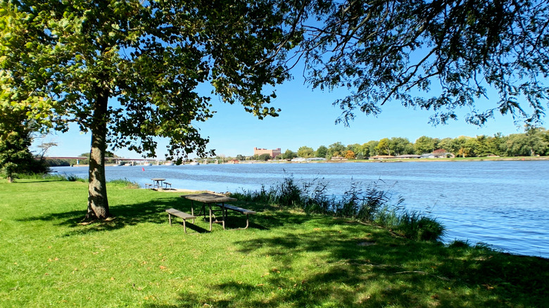 Picnic tables and trees by the Illinois River at Illini State Park