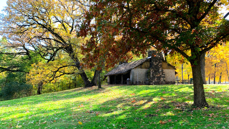 CCC picnic shelter building, next to trees on the lawn, at Illini State Park