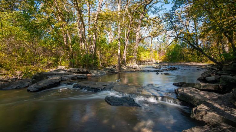 The modest falls at Waterfall Glen Forest Preserve in Darien, Illinois