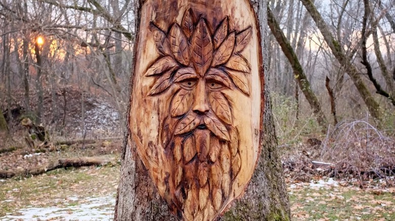Carved face in tree in the forest at Knute Olson, Jr. Forest Preserve