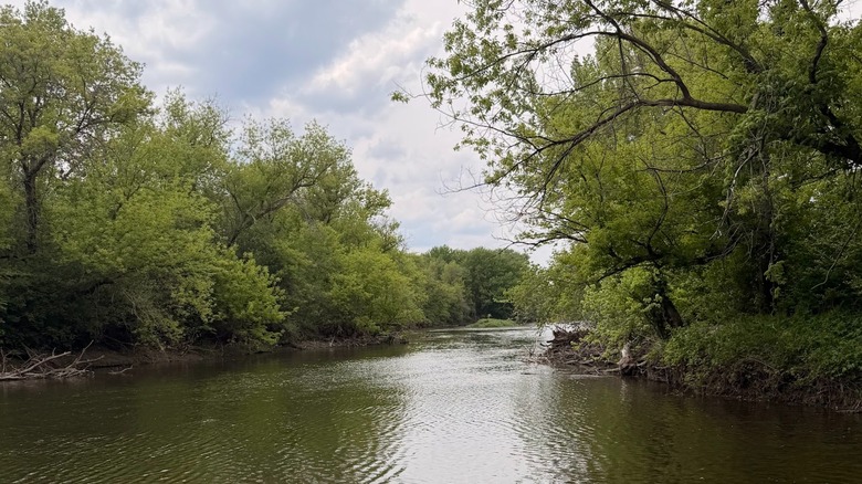 River surrounded by lush trees cloudy day Knute Olson Jr. Forest Preserve