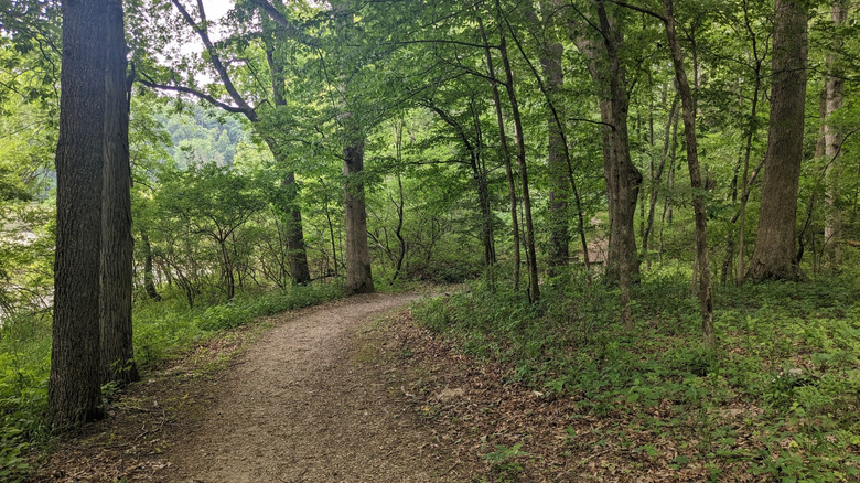One of the hiking trails at Weldon Springs State Park in Illinois