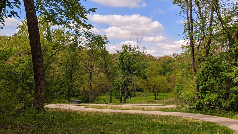 Trees and a walking path in West Park, on the border of Rockdale and Joliet in Illinois
