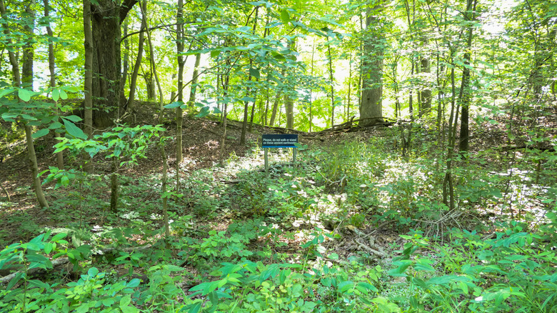 Ancient earthworks among trees at Fort Ancient in Ohio
