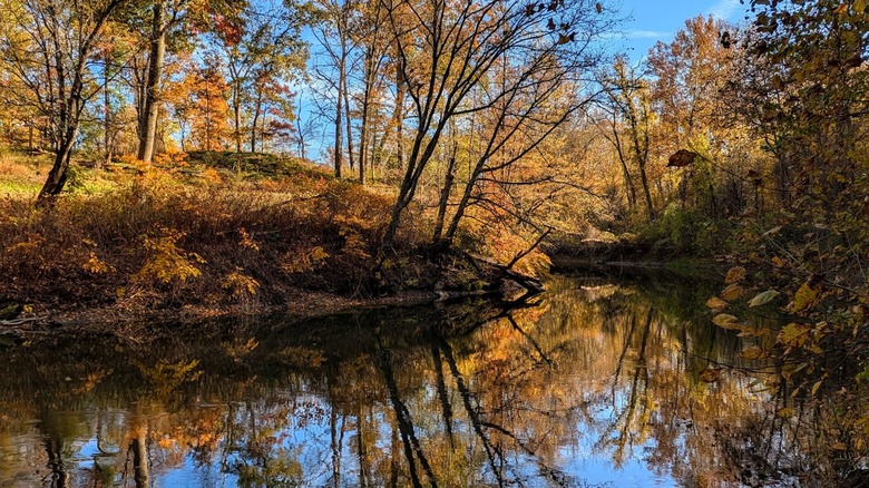 Cuyahoga River surrounded by fall foliage reflecting in its water