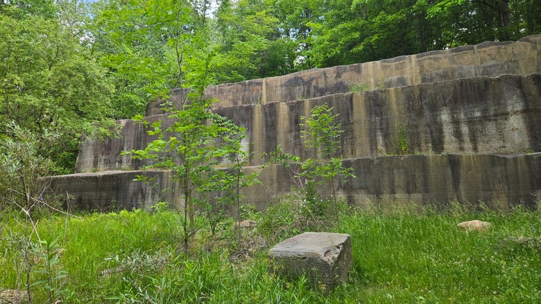 Quarry walls overgrown with lush green plants and trees Deep Lock Quarry Metro Park