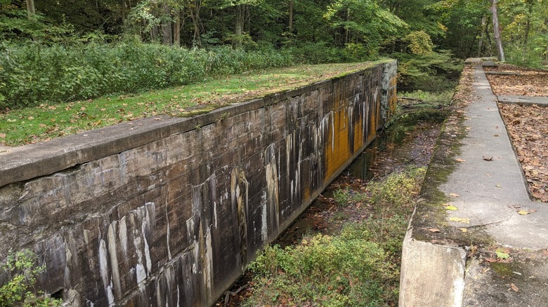 Ruins of Lock 28 empty canal filled with overgrowth Deep Lock Quarry Metro Park