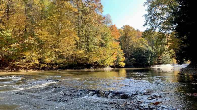Forested river scenery at Hogback Ridge Park near Madison, Ohio