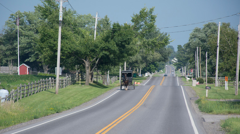 A horse and buggy riding on a road in Middlefield, Ohio