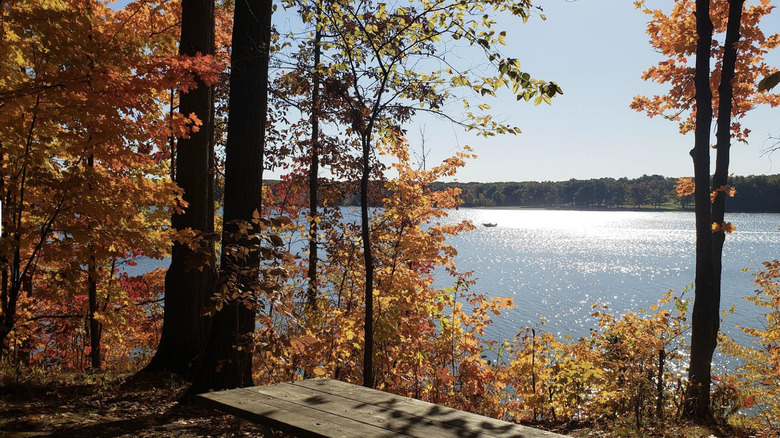 West Branch State Park lake views from a picnic table along the shores
