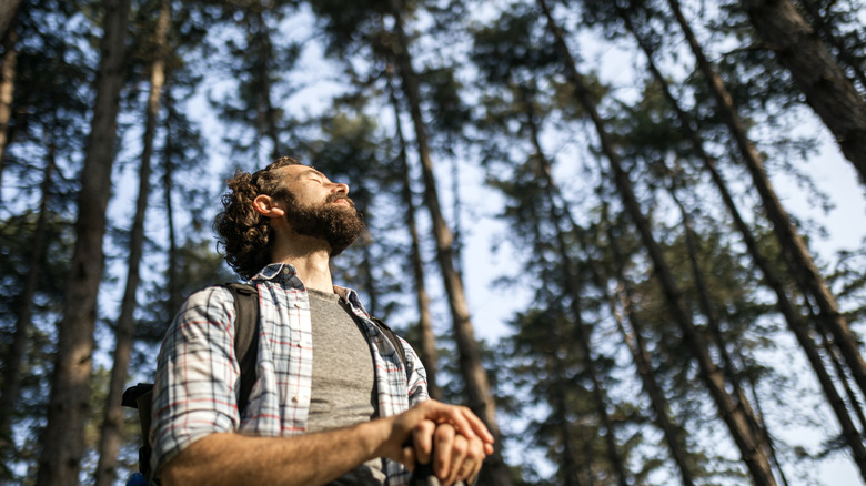 a man hiking in the forested scenery and soaking the sunshine