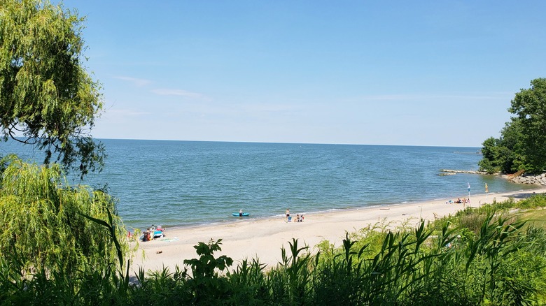 Firefly Beach at Mitiwanga with light sand, green foliage, and Lake Erie stretching to the horizon