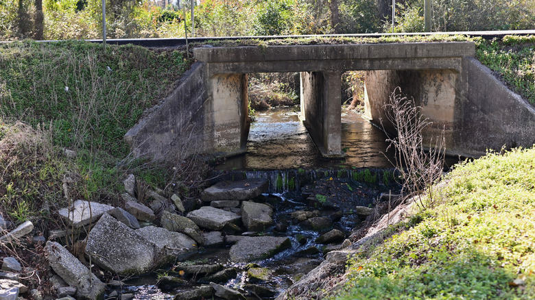 Nature scene with creek in one of Elloree's parks