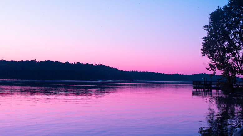 Trees and a dock silhouettes during a pink sunrise over the water at Lake Wateree State Park.