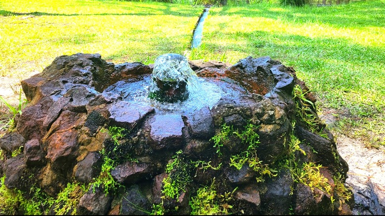 An artesian well covered in moss gushing water that flows through a channel to the lake at Lee State Park