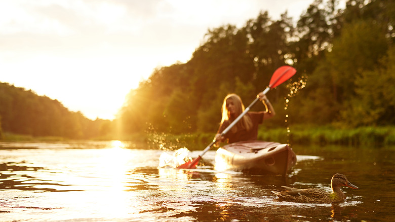 Woman kayaking at sunset with duck and trees