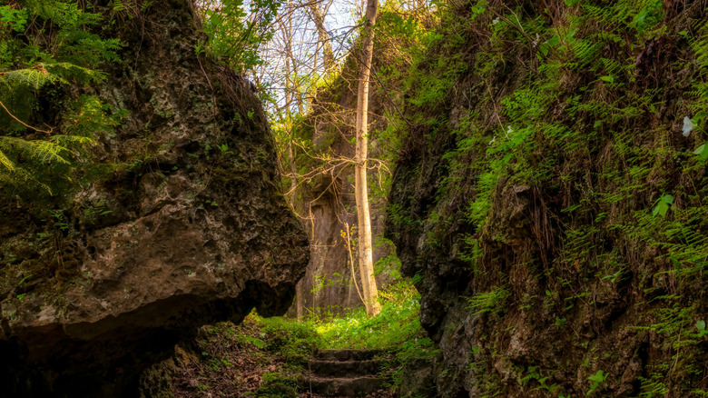 Stone steps on path of trail of ancients at Highlands Nature Sanctuary in Bainbridge Ohio