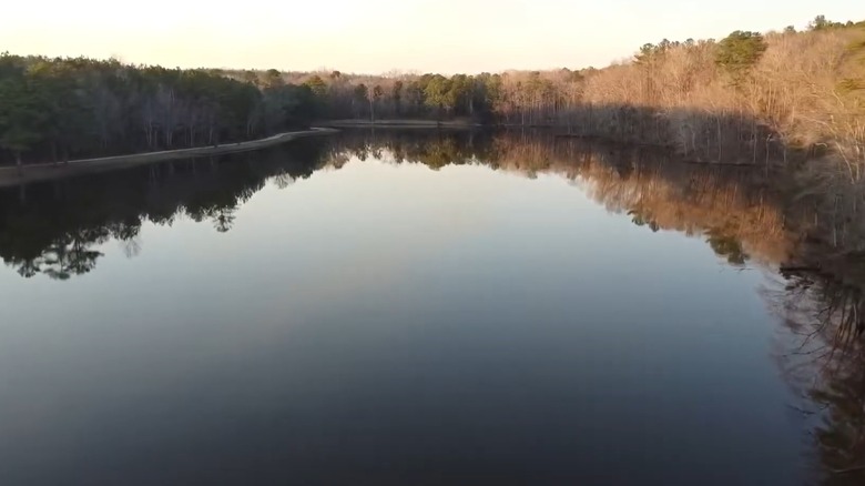 An aerial view of a lake in Notasulga, Alabama, surrounded by trees