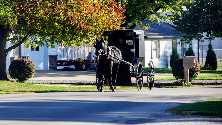 Amish buggy pulled by a black horse going down a suburban street, with a white house and trees in the background