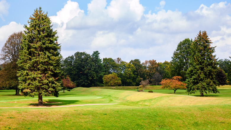 Grassy mounds and trees at Newark Earthworks in Ohio